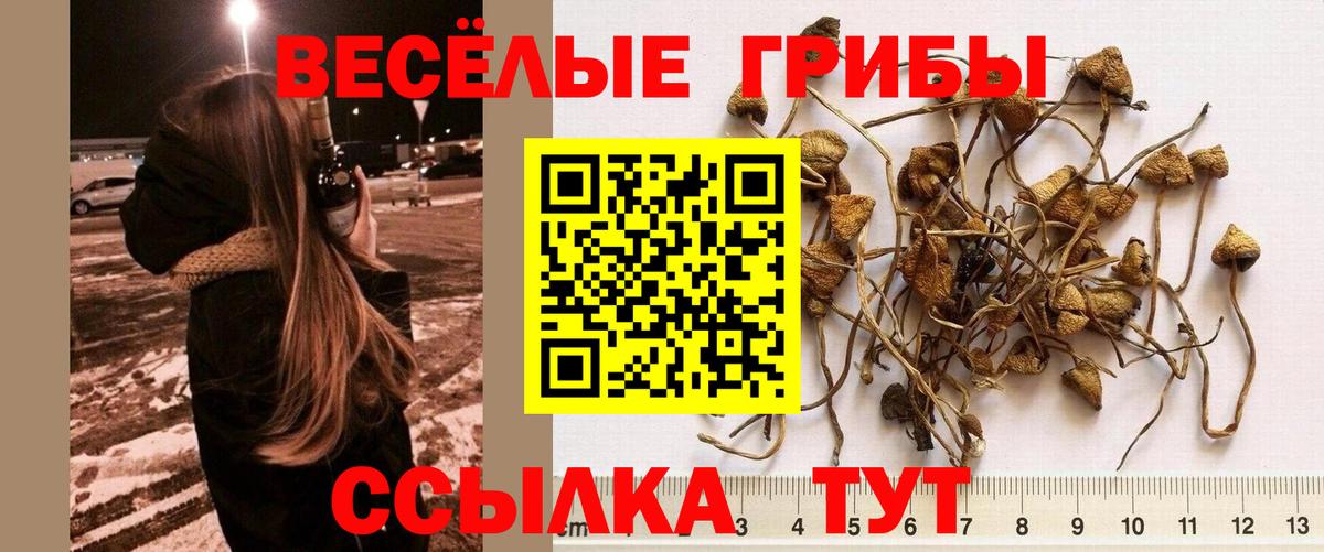 Псилоцибиновые грибы ЛСД Мелеуз